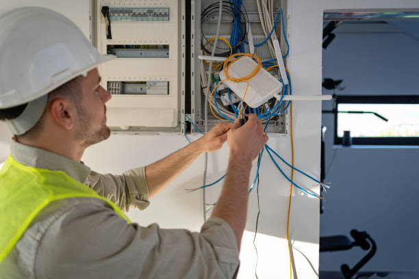 Best Electric Panel Repair  in Sand Lake, MI
